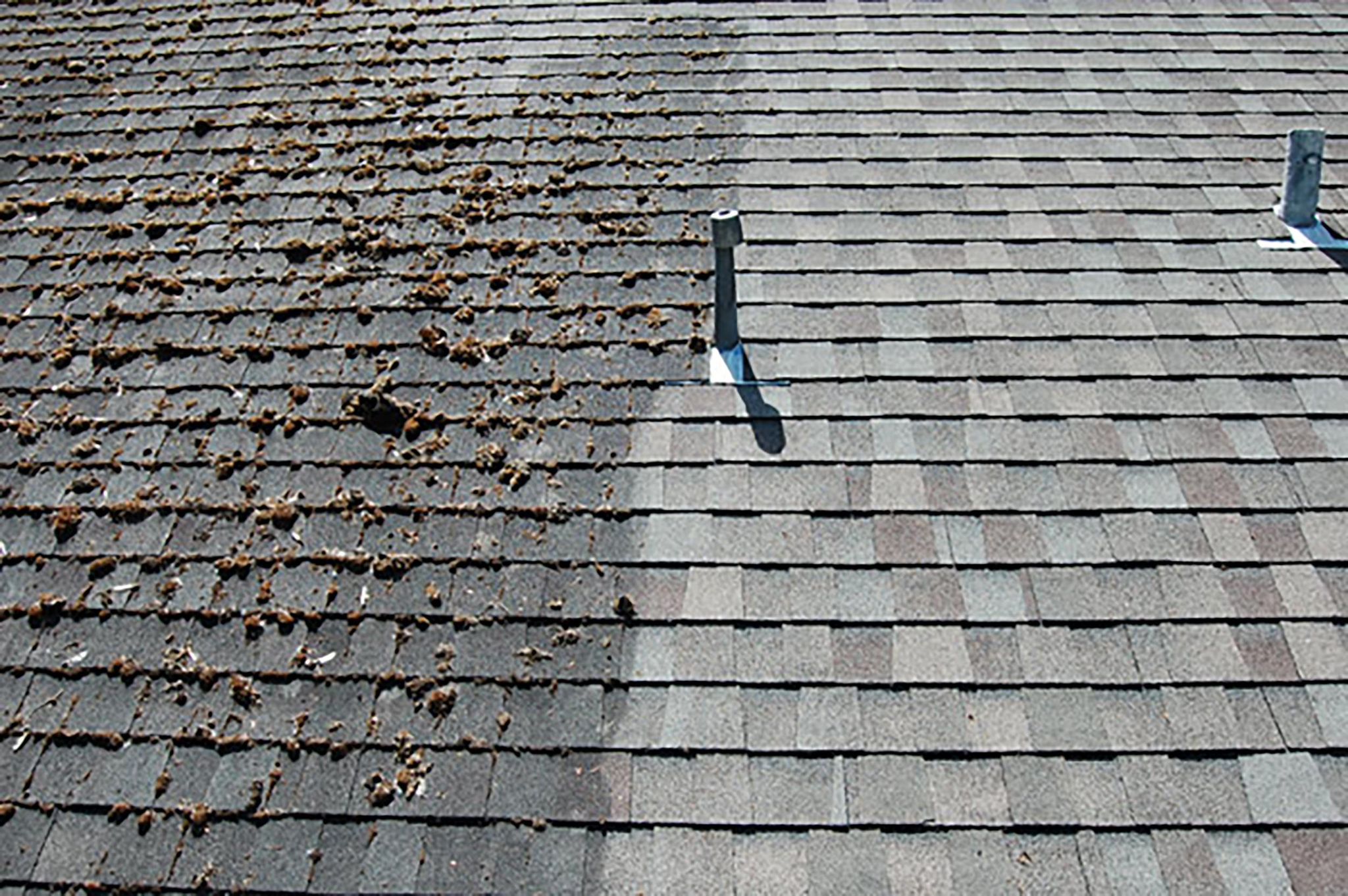 Roof cleaning service